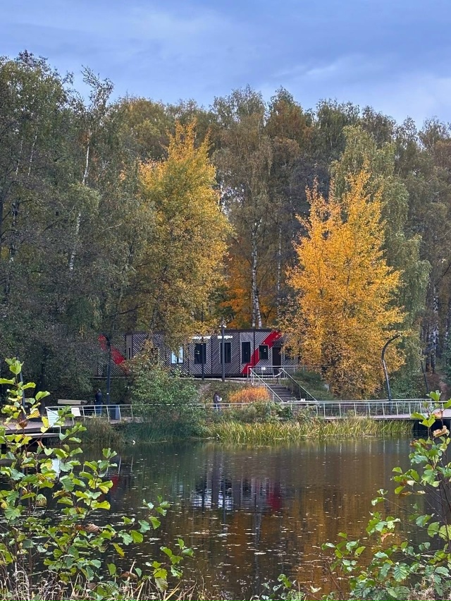 🍁 Красочная осень в Балашихе