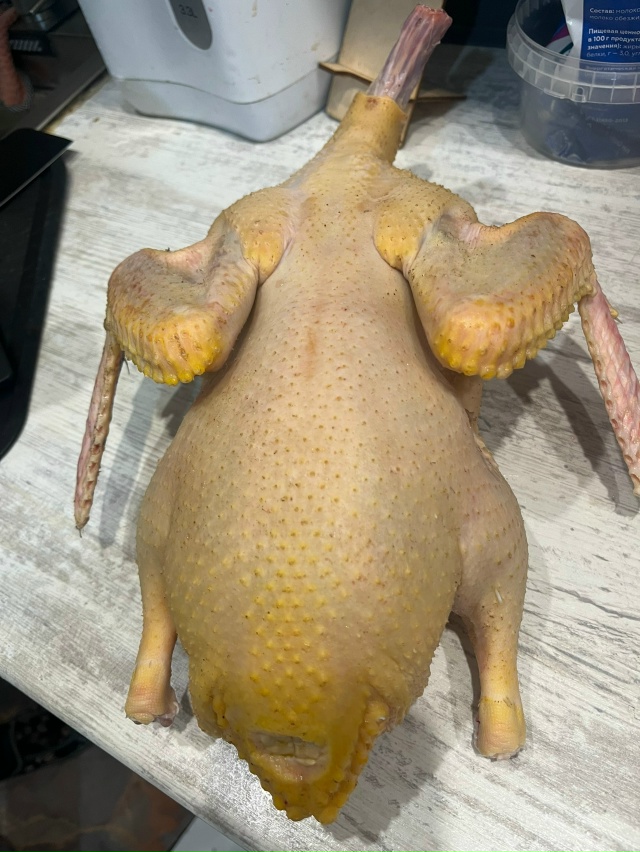 Анон. Продается мясо утки, бройлеры, гуси и их потроха. ...