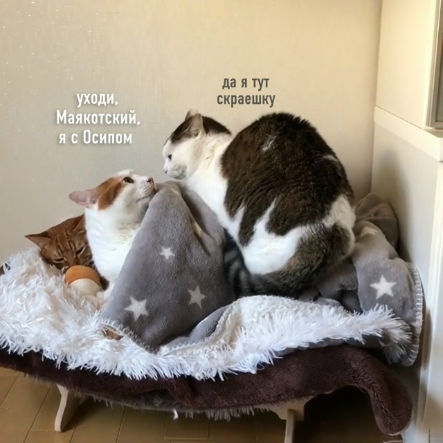 Любовный треугольник Маяковского: