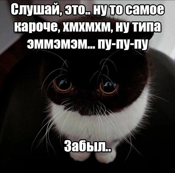 Утренняя подборочка