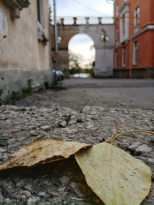 Шлюзовой, Самарская обл. 🍁