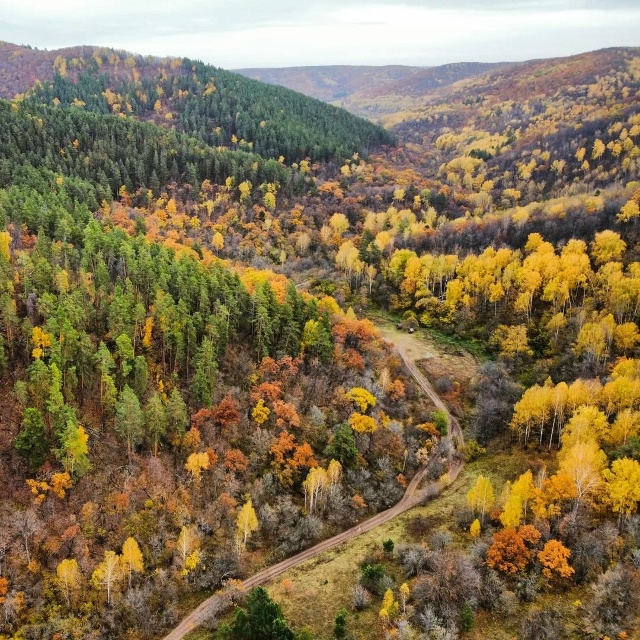 Ширяевский овраг, Самарская лука
📍53°23′42.3″N 49°55′13.7″...