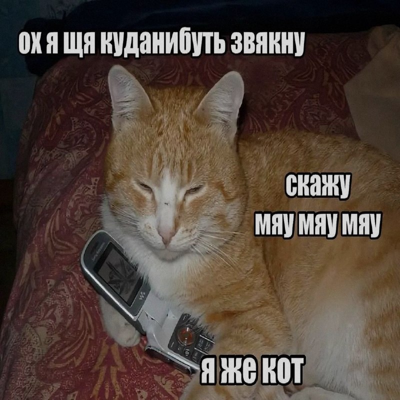 Ночная подборочка
Спать, режим