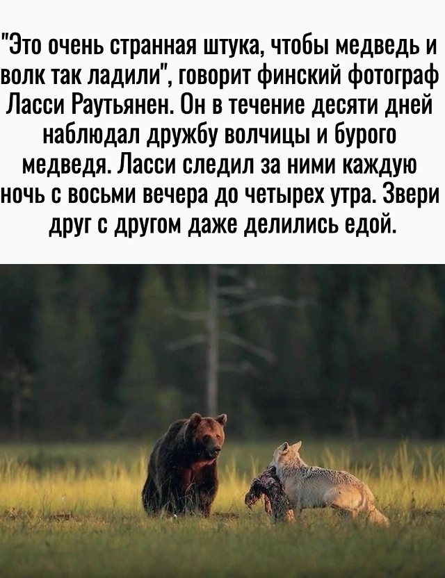 Дружба бывает разной