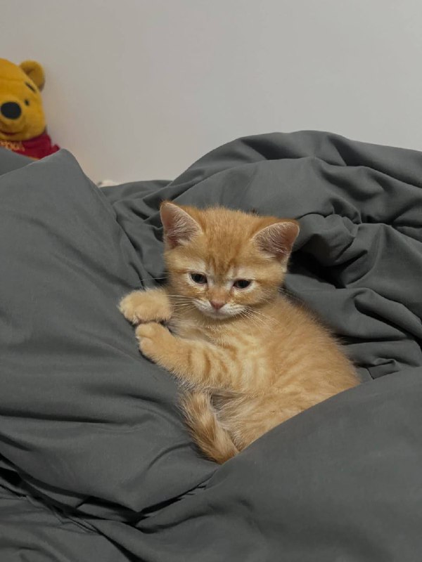 Ну идем уже споть, я же жду тибя в кроватке :3