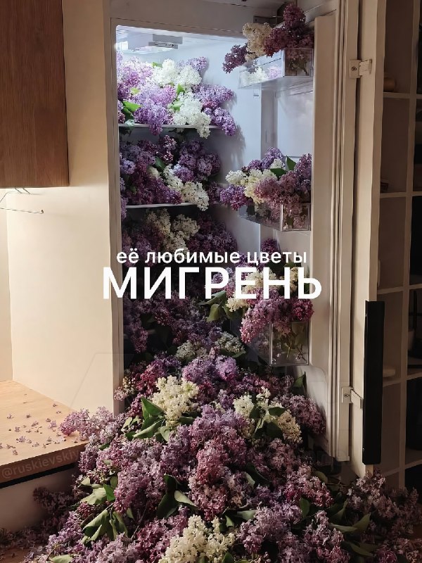 В интернете показали цветы, которые точно понравятся твоей тянке
Отправь ей, чтобы порадовать её