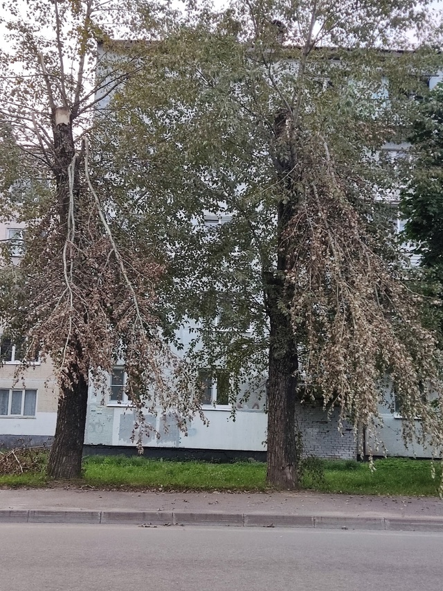 Обращение к администрации! Вы живёте не в нашем городе ...
