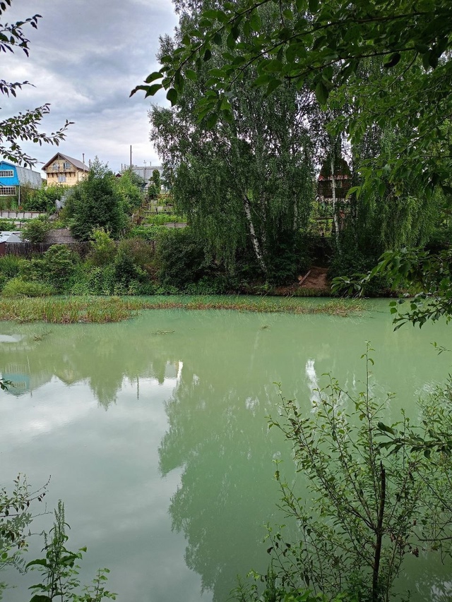 Вчера, 17.07.2025 в воду залива, впадающего выше Камской ГЭС...