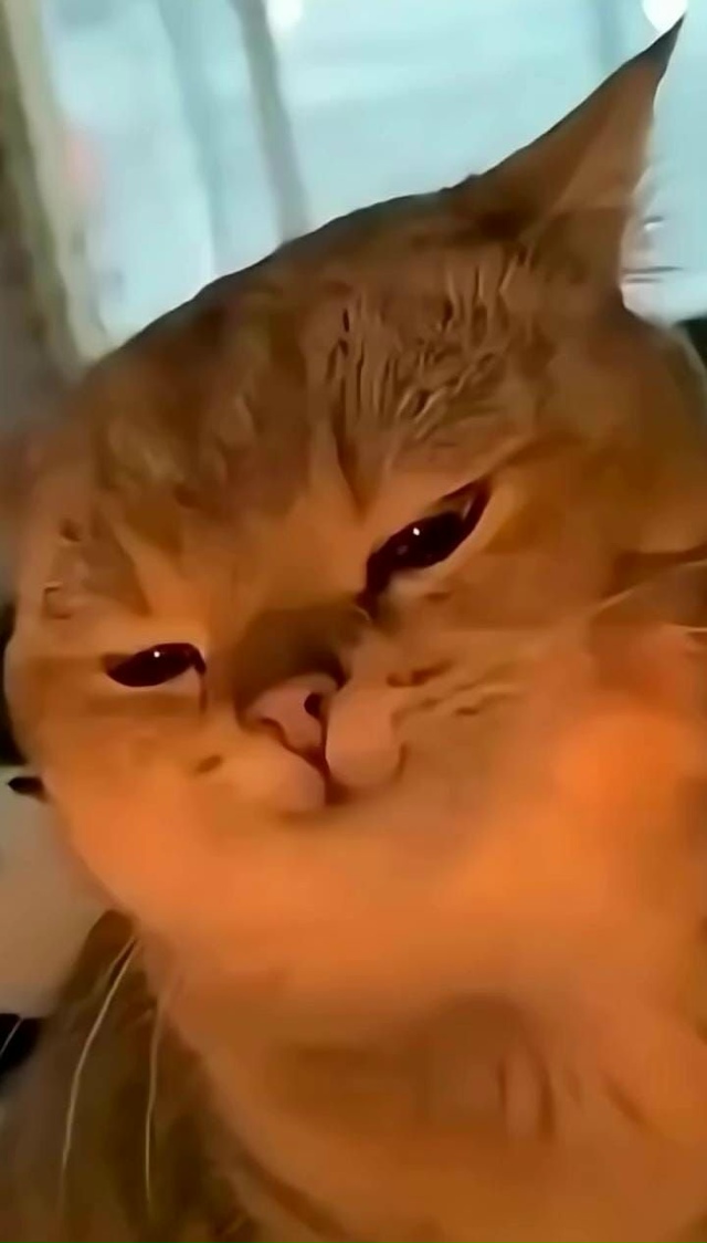 Самая грустная история в мире