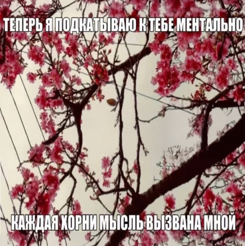 Утренняя подборочка