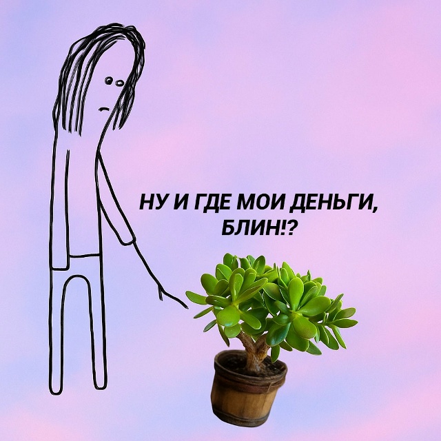 Есть вопросики к денежному дереву