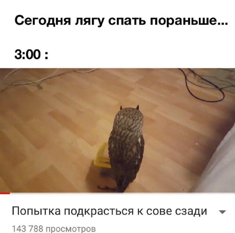 Плохой сон ускоряет старение мозга и сокращает продолжительность жизни.
Исследование показало, что