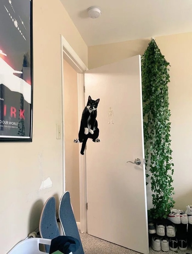 КОТэрфильд)))