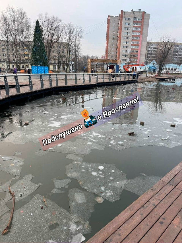 Подписчица ругается:
