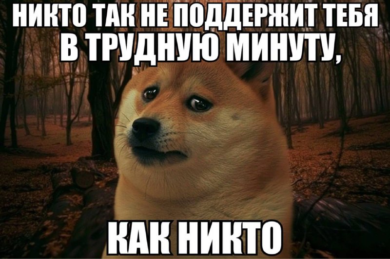 Официально: одиночество УБИВАЕТ
Учёные провели масштабное исследование с 42062 участника и выяснил