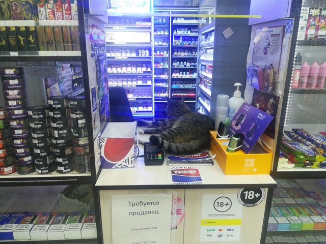 Оплата налом или безналом?