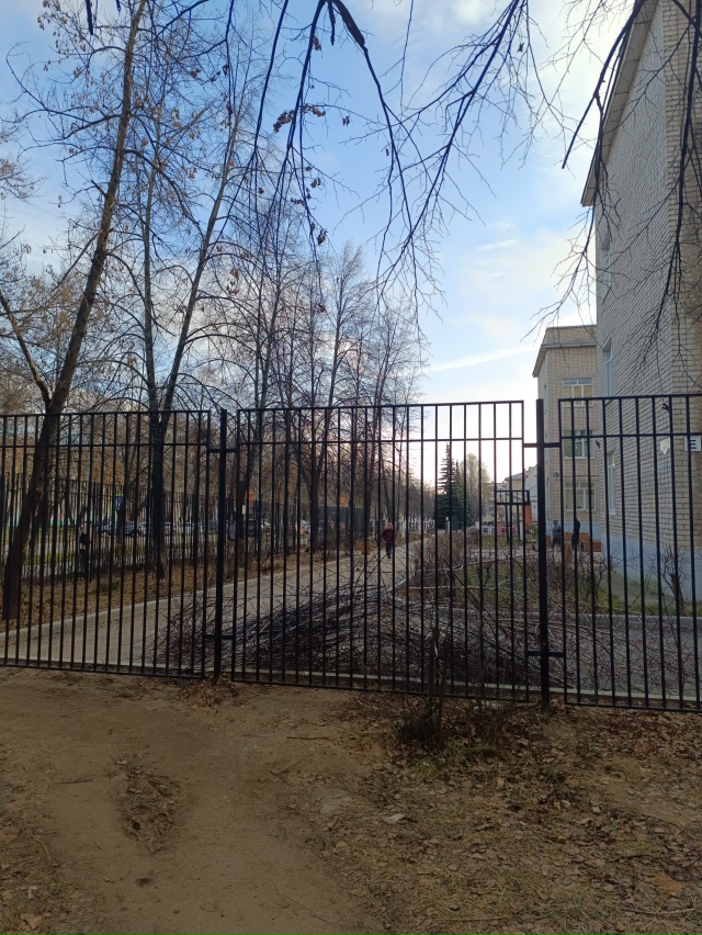 Внушительный забор. От кого огорадились?