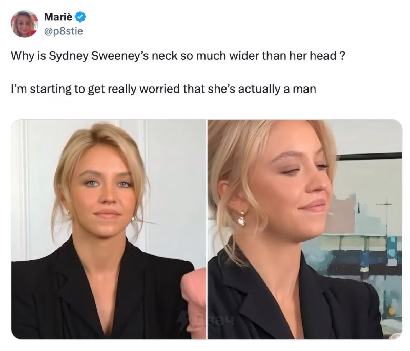 Американские праваки разгоняют тему, что Сидни Суини изначально была парнем
В соцсетях уже нескольк