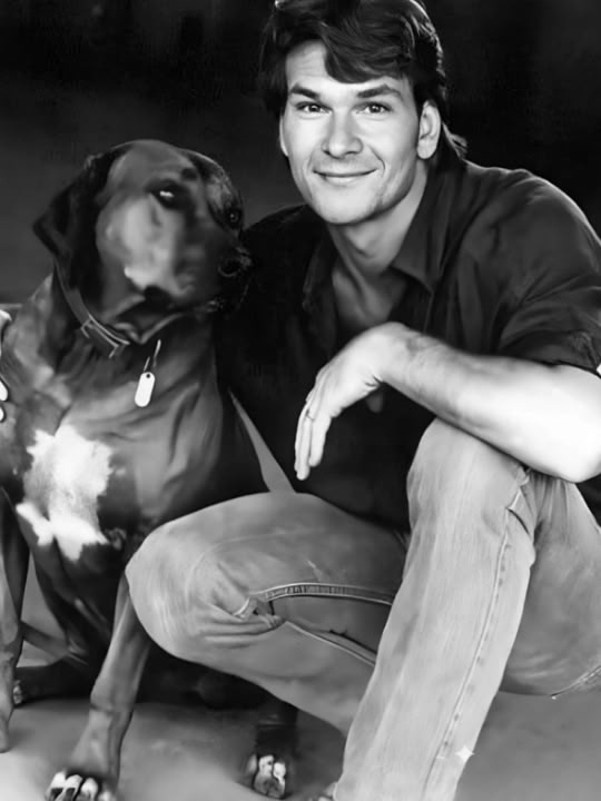 ОНИ СКАЗАЛИ МНЕ, ЧТО МОЙ ДОМ ПАХНЕТ СОБАКАМИ, И Я СПРОСИ...