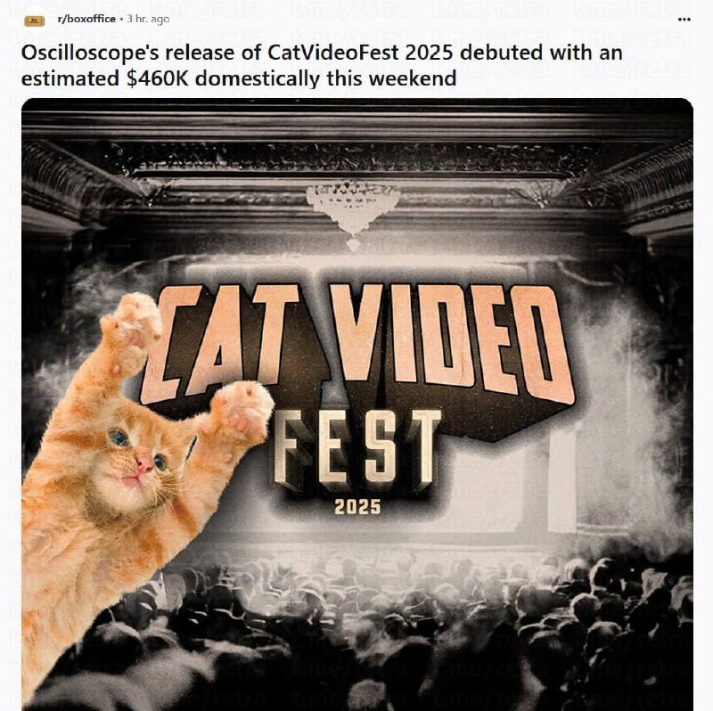 Фестиваль котиков взорвал кинозалы: Cat Video Fest собрал почти полмиллиона долларов за одни выходны