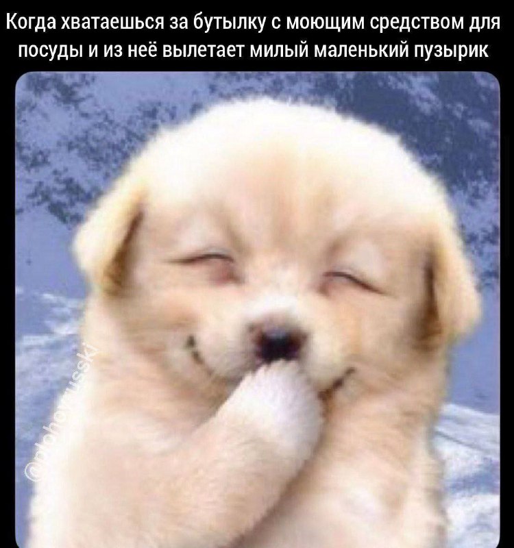 Утренняя подборочка