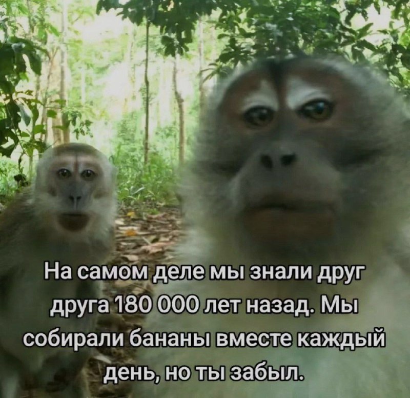 Ночная подборочка
Спать, режим