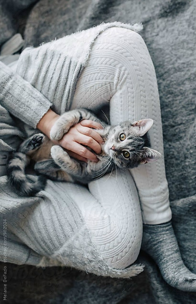 Исследование показало, что питомцы во многом отражают ...