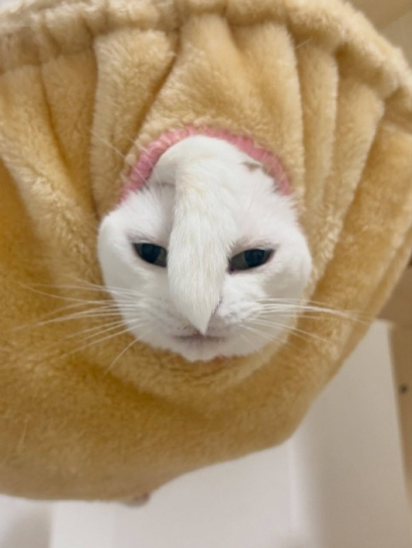 Удобна