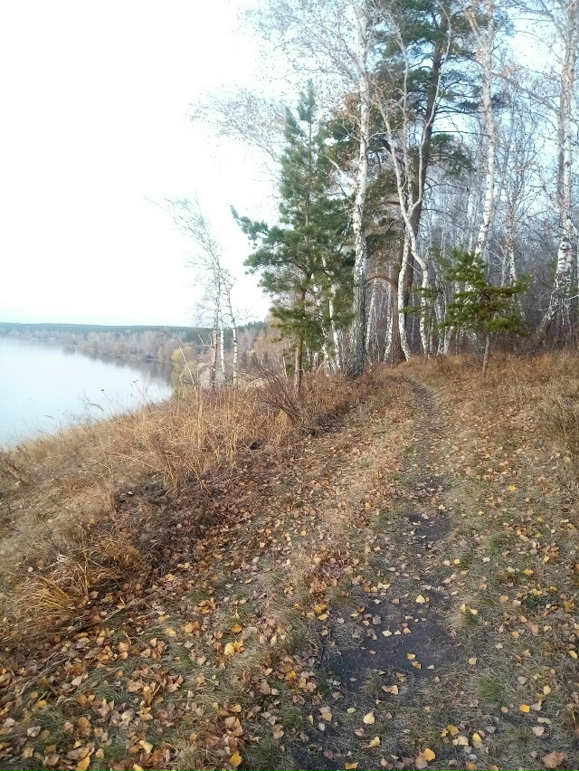 Немного позитива в ленту.На снимках-подборка №2 ,краси?...