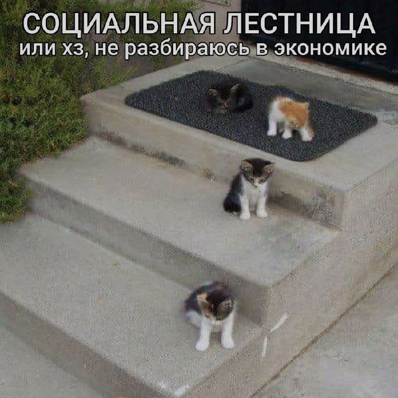 Ночная подборочка
Выходные, не спим