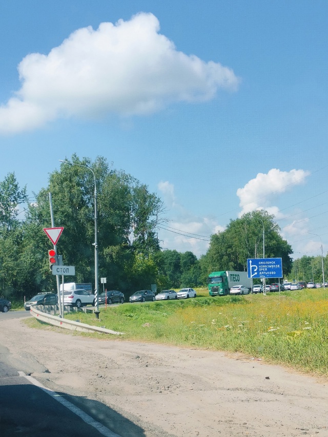 ‼️На выезде из Бежицы замечены заросли сортового БОР?...