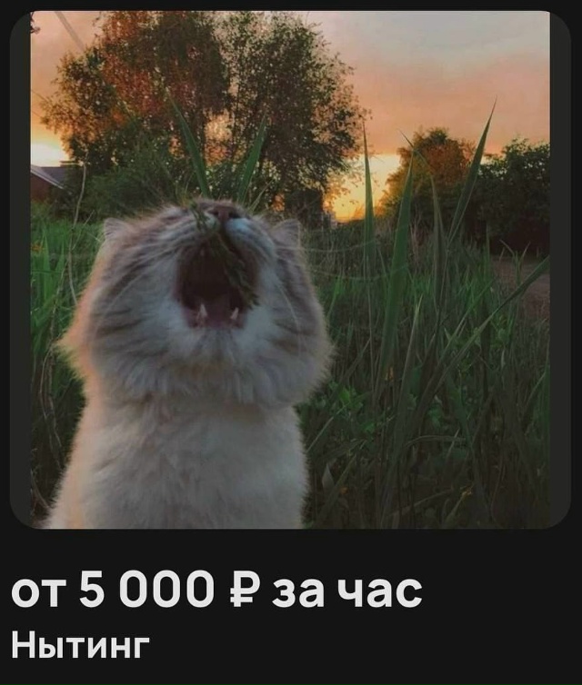 😭 Полчаса нытья стоит 5 тысяч рублей, а час — все 10.
«И?...