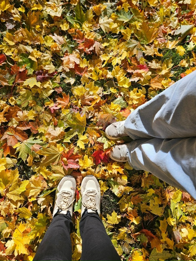 Всем хорошего настроения! 🍂🍁
📷: Валентина