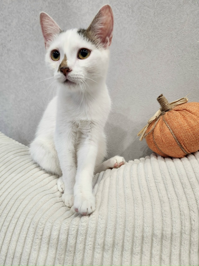 ВОЛГОРЕЧЕНСК ❗
ДРУЗЬЯ! НУУУ, КАК ЖЕ ТАК?!🤔☹️
ВЕСЁЛЫЙ...