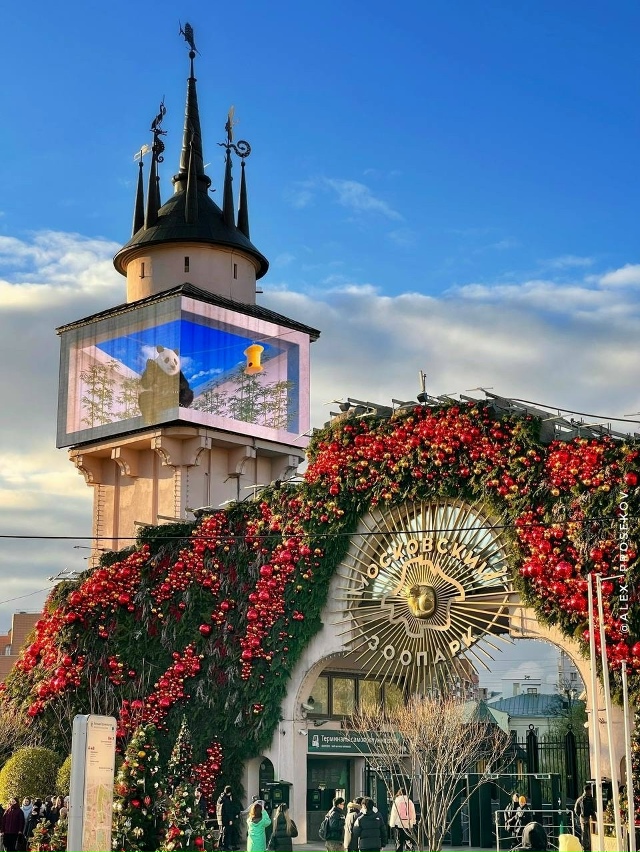 Московский зоопарк 😍
Фото alex_prosekov