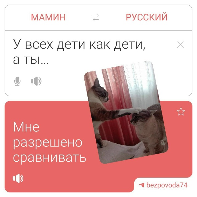 ❗️😍 Мы выросли, но мамины фразы всё еще с нами
Порой ?...
