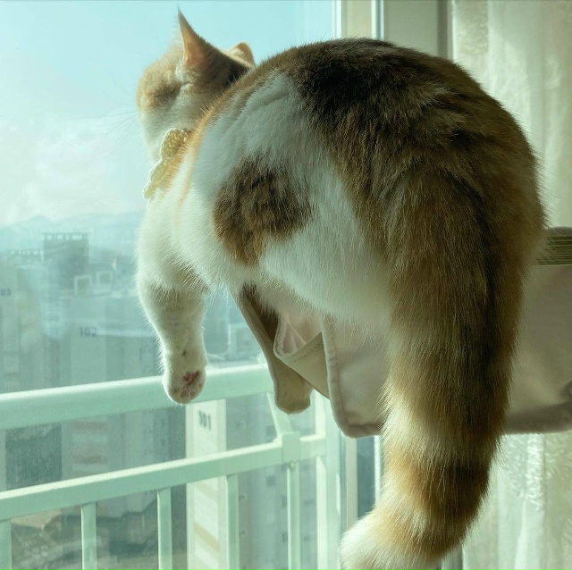 - Вась, Васяяяя
- Ты уже 15 минут тупо смотришь в окно.