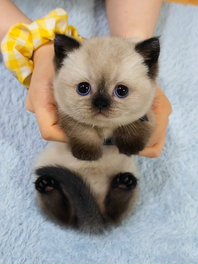 Любовь с первого взгляда 😍