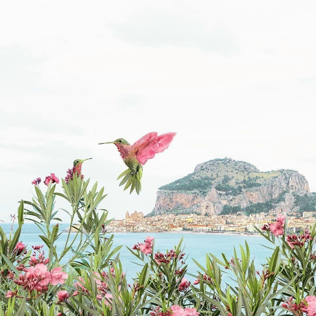 Не переставайте мечтать!💫