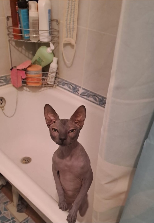 Мой Космос ?? Мой пирожок , мамин серенький волчонок ...