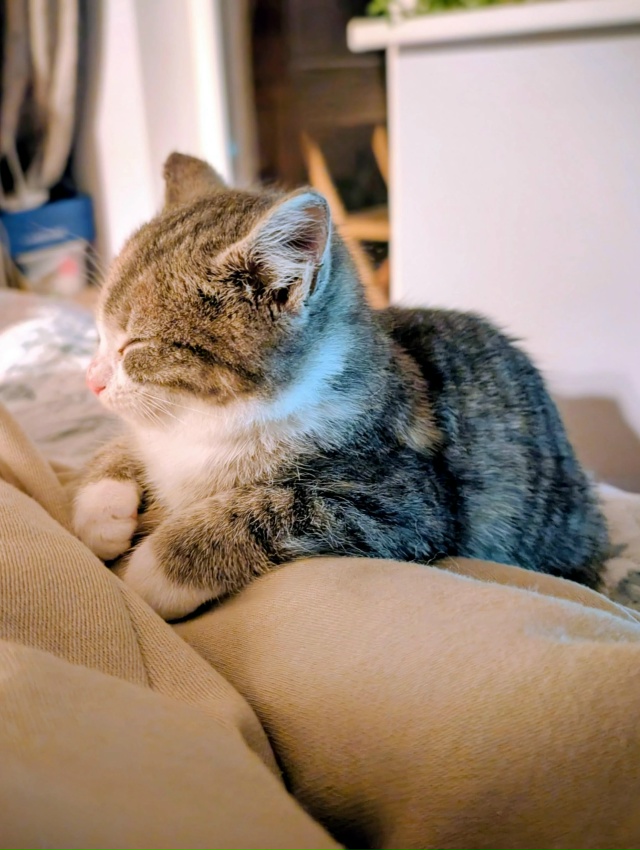 🗣️ Сегодня утром вот это милое создание село мне на к?...