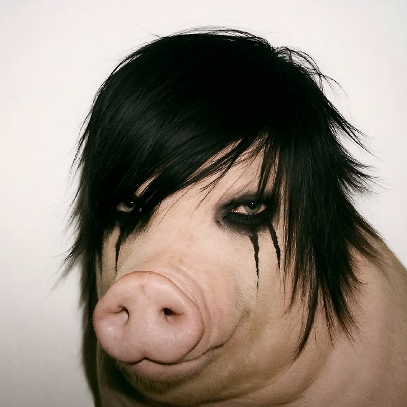 В интернете появился новый мем