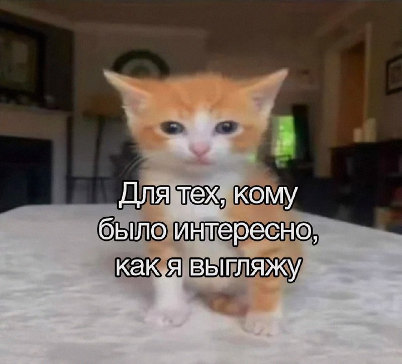 Утренняя подборочка