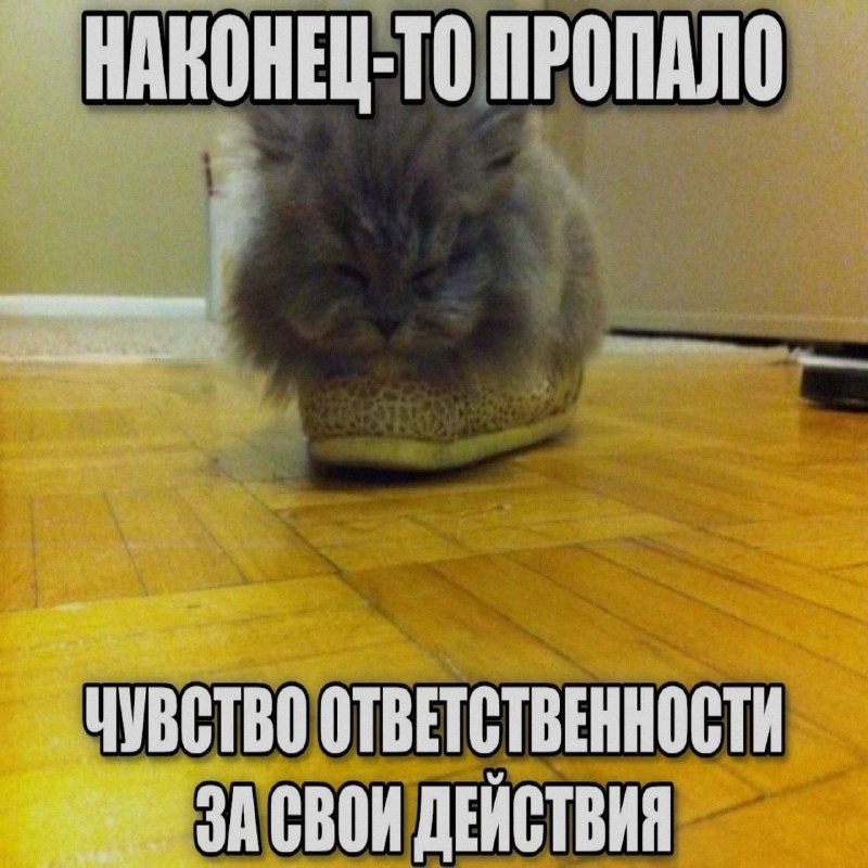 Ночная подборочка
Спать, режим
