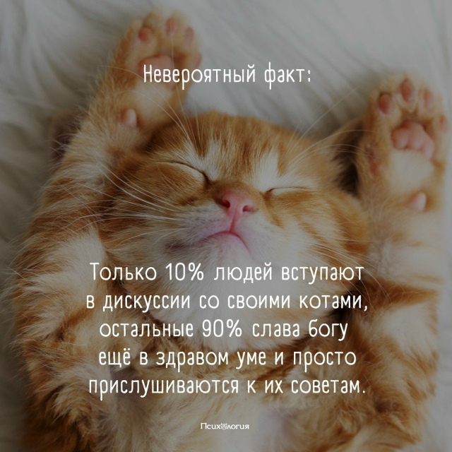 Всего 10%?