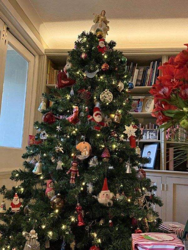 В этой ёлке спрятался рыжий кот. Попробуйте его найти.