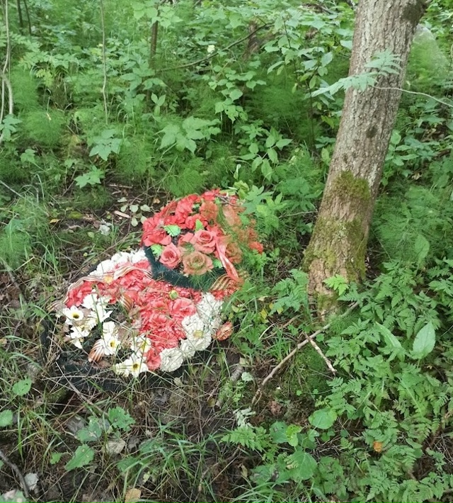 Мусор в лесу.
Банальная, вроде бы вещь, особенно если ?...