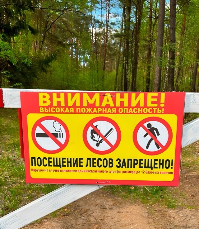 ❗🌲 В Вельском районе введен запрет на посещение леса ...