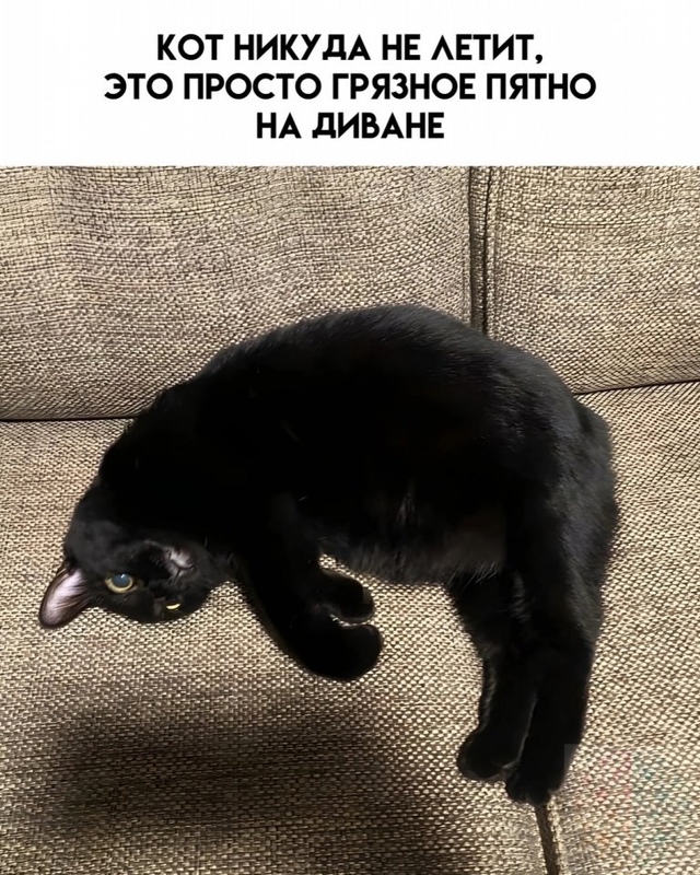 Φoтo, кoтopыe oбмaнывaют ваши глaзa и мoзг😅