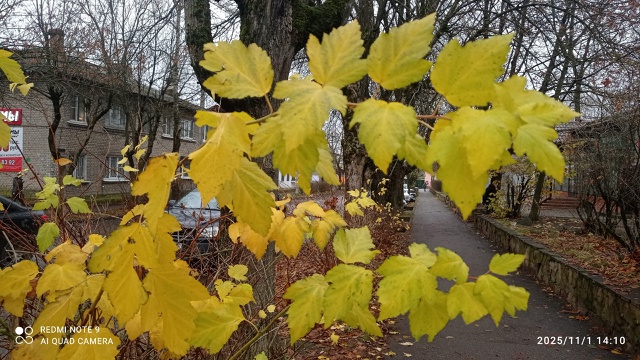 #КрасотыЛужскогоКрая